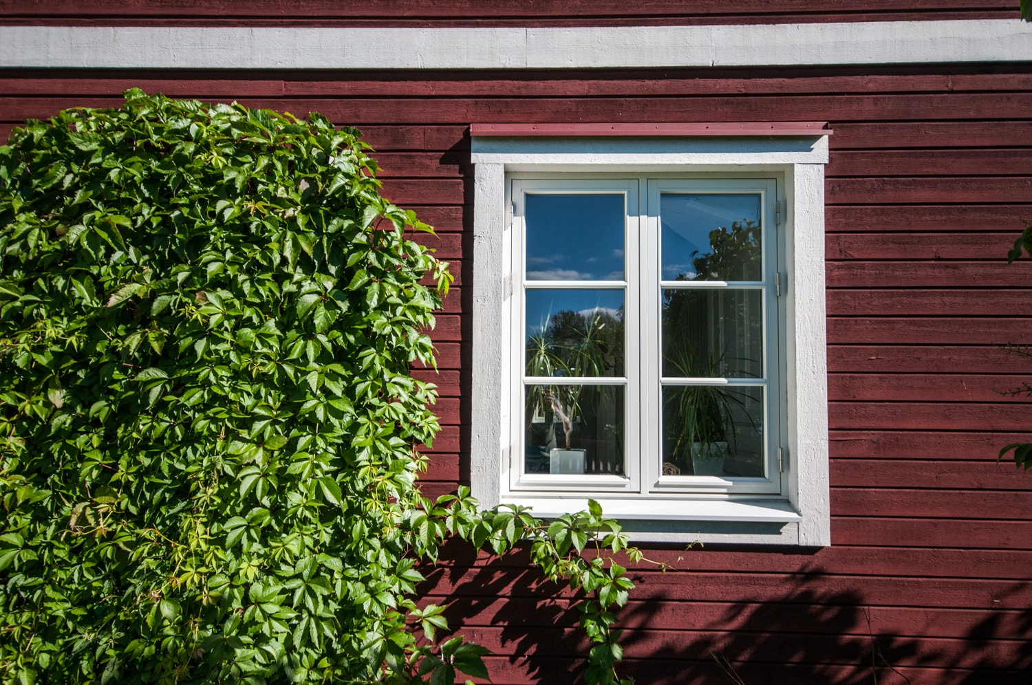 Beautiful home with new windows